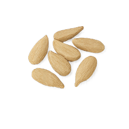 تخم افتابگردان